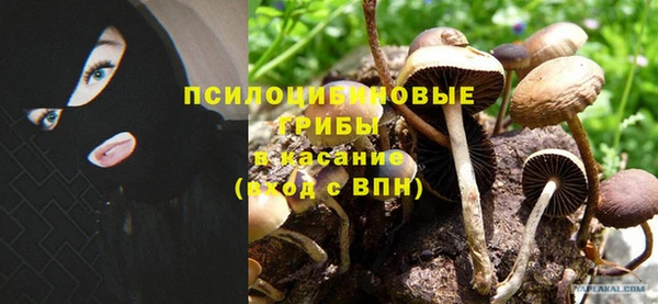 марихуана Арсеньев