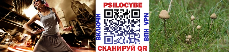 hydra зеркало  Семёнов  Галлюциногенные грибы прущие грибы  даркнет сайт 